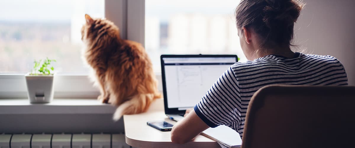 Thuis werkende vrouw met kat