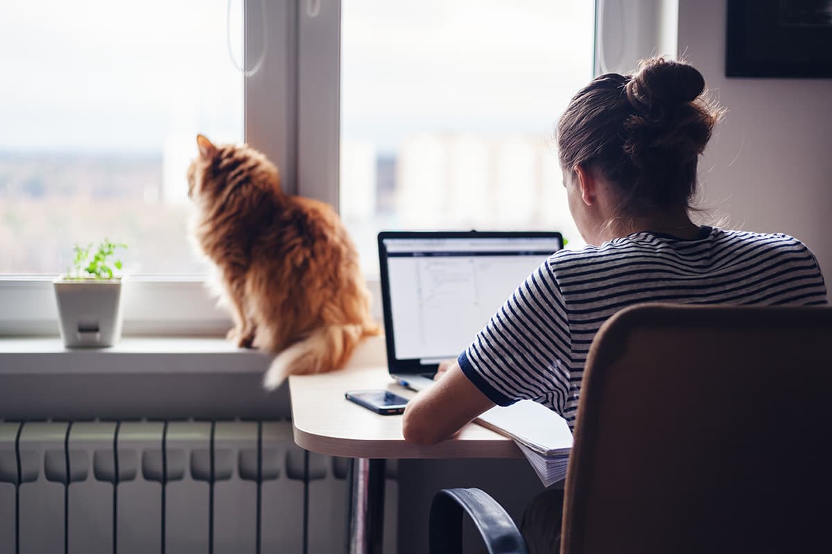 Thuis werkende vrouw met kat