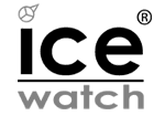 Logo Ice Watch Grey