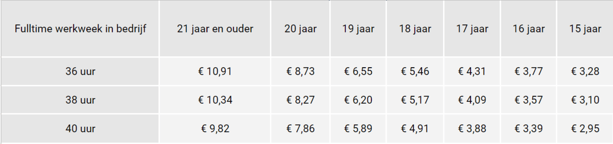 De zomer komt er weer aan waar moet je op letten bij het inzetten van vakantiekrachten